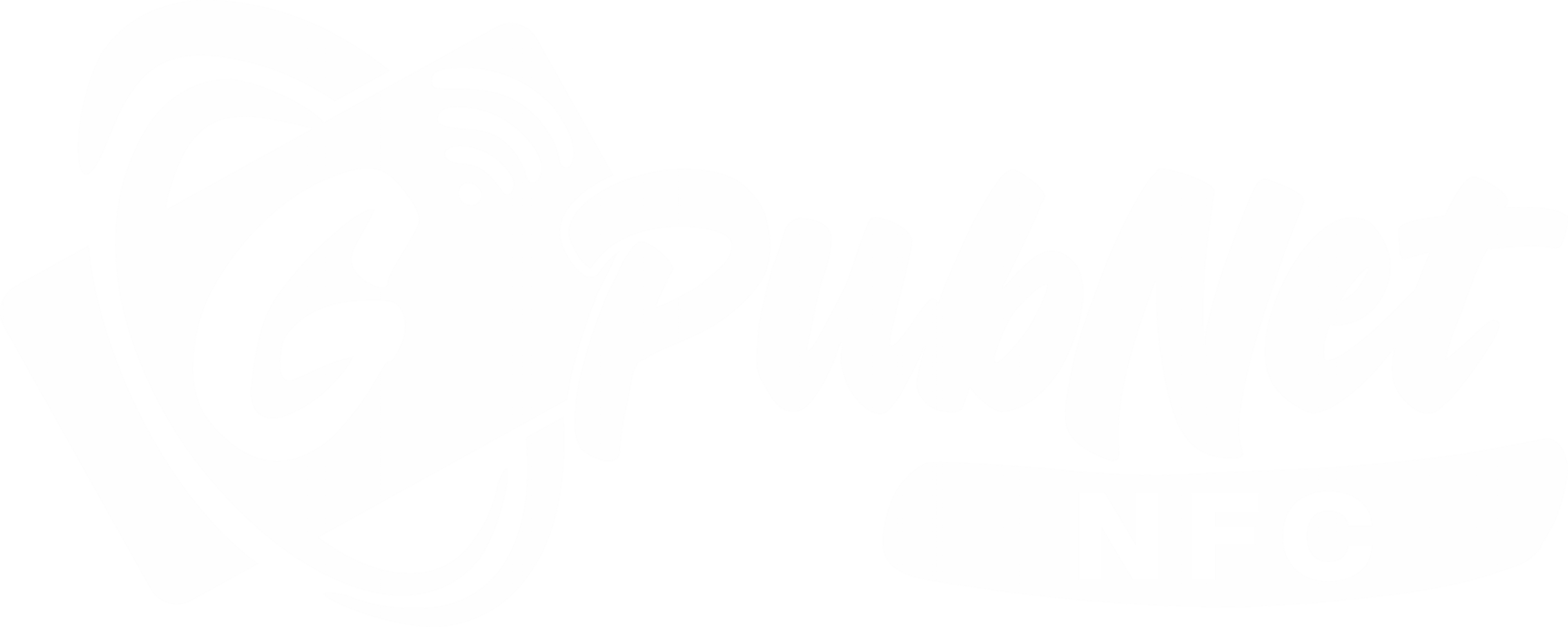 Gopubnet Logo